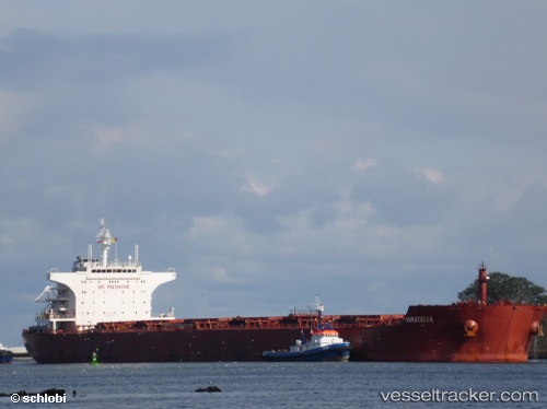 vessel HEIDE IMO: 9498822, Bulk Carrier