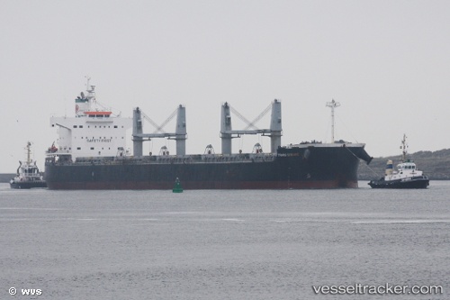 vessel PROPEL FORTUNE IMO: 9500699, Bulk Carrier
