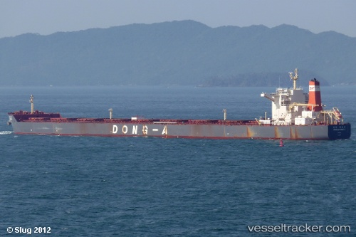 vessel Youngheung IMO: 9502934, Bulk Carrier
