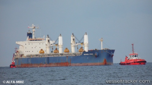 vessel Equinox Star IMO: 9503976, Bulk Carrier