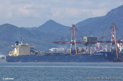 vessel Star Janni IMO: 9505833, Bulk Carrier
