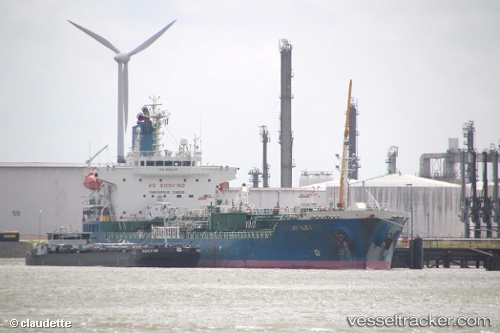 vessel Stolt Ilex IMO: 9505936, Chemical Oil Products Tanker
