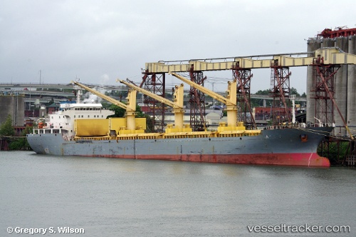 vessel TRANSATLANTIC IMO: 9506100, Bulk Carrier
