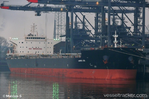 vessel NAVISSTAR IMO: 9511430, 