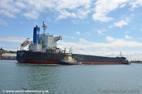 vessel New Ascent IMO: 9512290, Bulk Carrier

