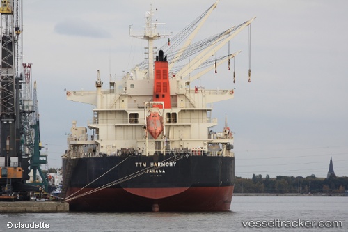 vessel Ttm Harmony IMO: 9514016, Bulk Carrier
