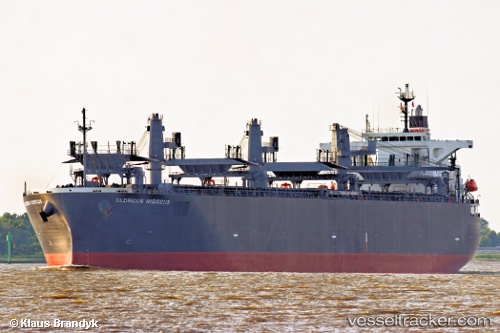 vessel Glorious Hibiscus IMO: 9515216, Wood Chips Carrier

