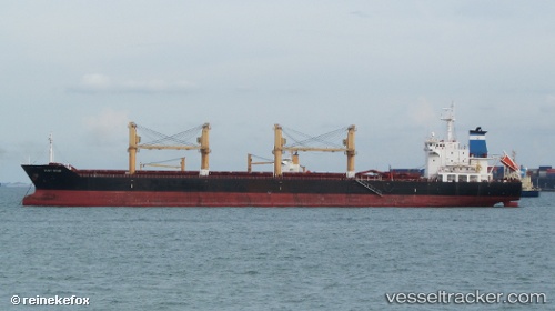 vessel Elpis IMO: 9516703, Bulk Carrier
