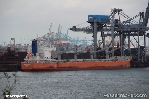 vessel Amis Orchid IMO: 9520649, Bulk Carrier
