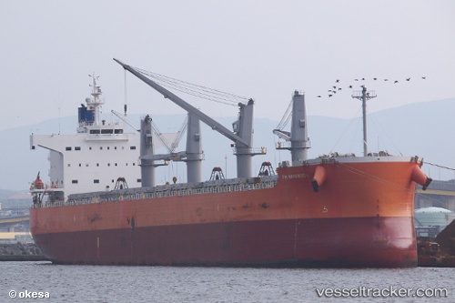 vessel Pm Hayabusa IMO: 9520663, Bulk Carrier
