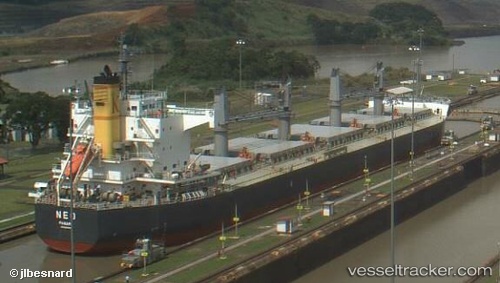 vessel Neo IMO: 9520948, Bulk Carrier
