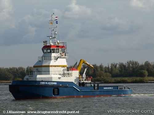 vessel Blackbird IMO: 9524504, Pusher Tug
