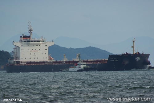 vessel Vishva Vinay IMO: 9533488, Bulk Carrier
