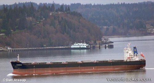 vessel Gleamstar IMO: 9537733, Bulk Carrier
