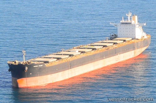 vessel GLOBAL TALENT IMO: 9539107, Bulk Carrier
