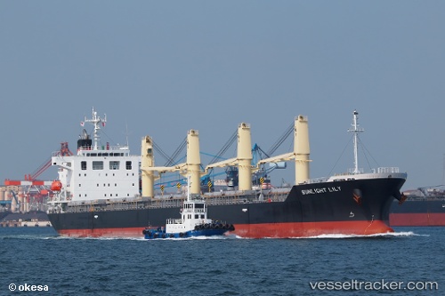vessel Team Bravo IMO: 9539341, Bulk Carrier
