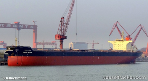 vessel Star Zulu IMO: 9539729, Bulk Carrier
