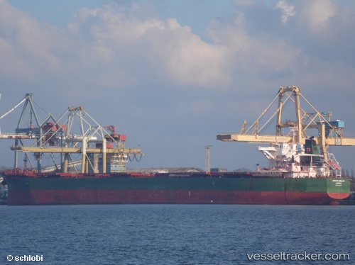 vessel Evelyn Schulte IMO: 9540871, Bulk Carrier
