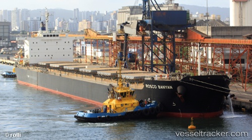vessel Rosco Banyan IMO: 9542489, Bulk Carrier
