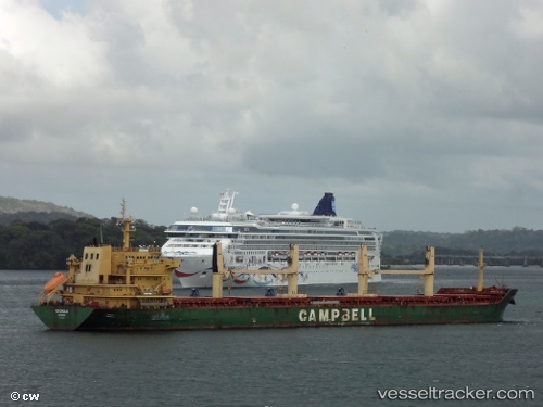 vessel Cs Calla IMO: 9542520, Bulk Carrier
