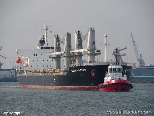 vessel Manta Cicek IMO: 9542685, Bulk Carrier