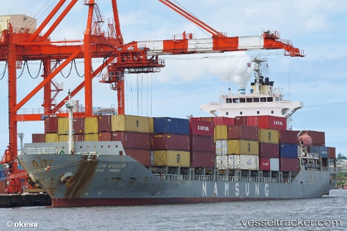 vessel STAR PIONEER IMO: 9545003, Cargo