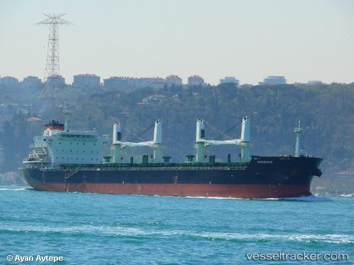 vessel Vigorous IMO: 9546239, Bulk Carrier
