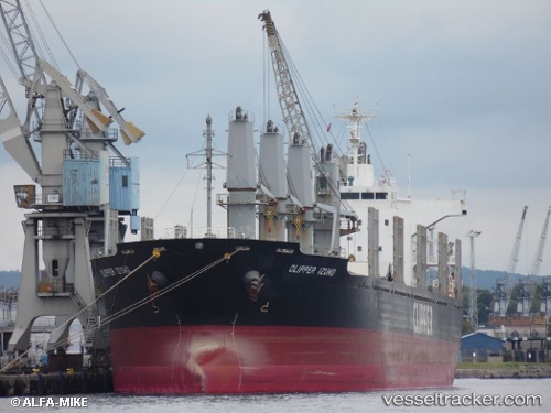 vessel Paloma IMO: 9550163, Bulk Carrier
