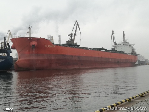 vessel DL ADONIS IMO: 9553206, Bulk Carrier