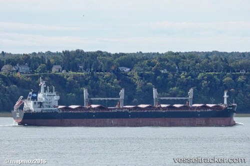 vessel Voyager IMO: 9553256, Bulk Carrier
