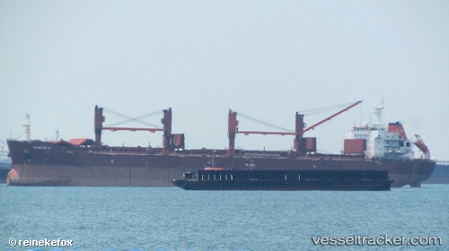 vessel BAO QUAN IMO: 9554664, Bulk Carrier