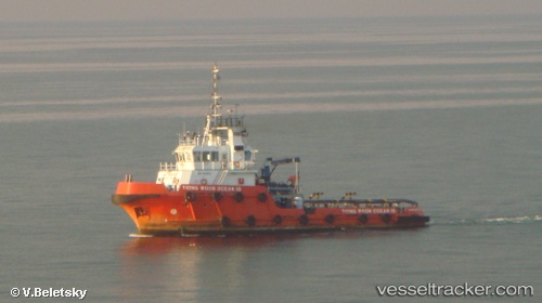 vessel Tiong Woon Ocean 19 IMO: 9554999, Offshore Tug Supply Ship
