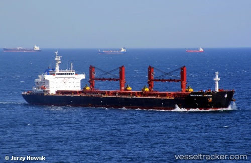 vessel Papa John IMO: 9555149, Bulk Carrier
