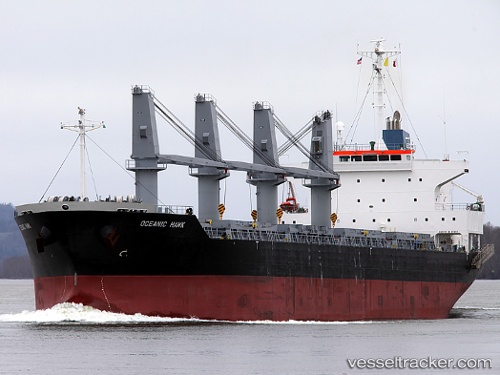 vessel Oceanic Island IMO: 9561899, Bulk Carrier
