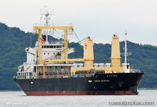 vessel Yushan Blossom IMO: 9565871, General Cargo Ship
