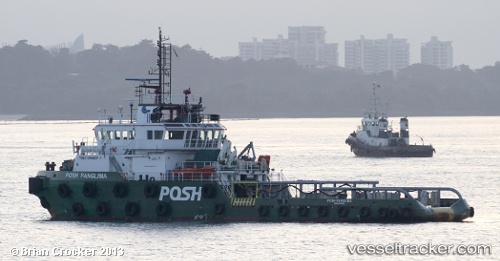 vessel Posh Panglima IMO: 9566007, Tug
