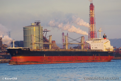 vessel Future IMO: 9566447, Bulk Carrier
