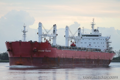 vessel E Tracer IMO: 9567439, Bulk Carrier
