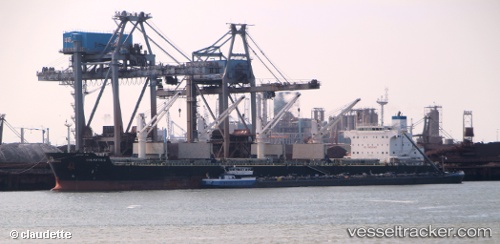 vessel SERENE AMELIA IMO: 9567958, Bulk Carrier