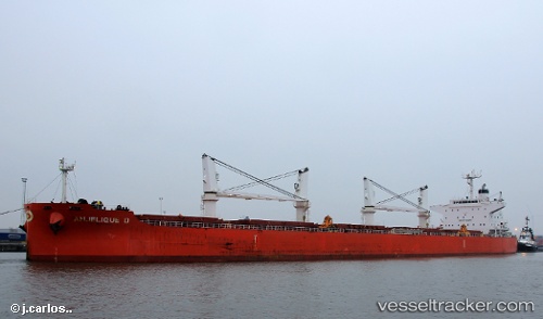 vessel Anjelique D IMO: 9572082, Bulk Carrier
