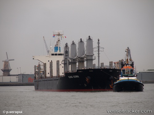vessel '311000996' IMO: 9573804, 