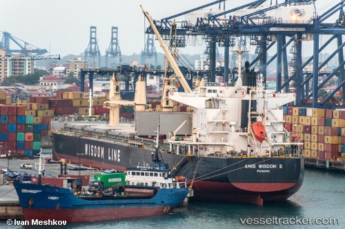 vessel Amis Wisdom Iii IMO: 9573866, Bulk Carrier
