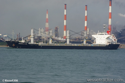 vessel Magnolia IMO: 9574171, Bulk Carrier
