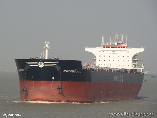 vessel Welprofit IMO: 9574456, Bulk Carrier
