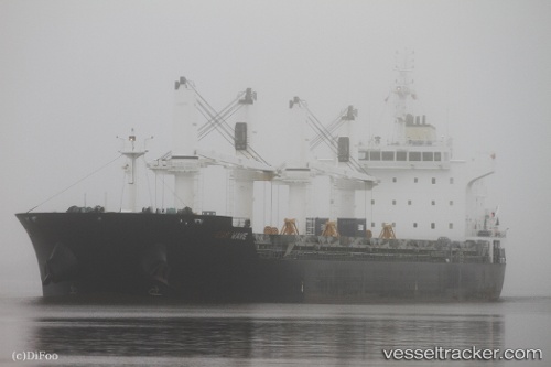 vessel SHANGHAI PEARL IMO: 9576741, Bulk Carrier