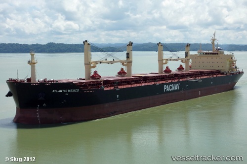 vessel GREY LUNA IMO: 9578775, Bulk Carrier