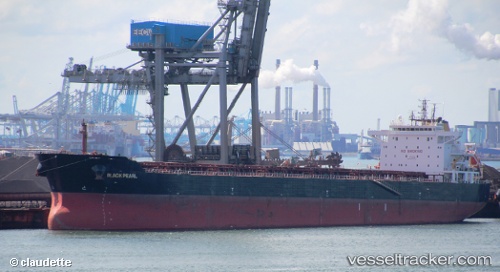 vessel Black Pearl IMO: 9579743, Bulk Carrier
