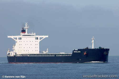 vessel Marvellous IMO: 9579872, Bulk Carrier
