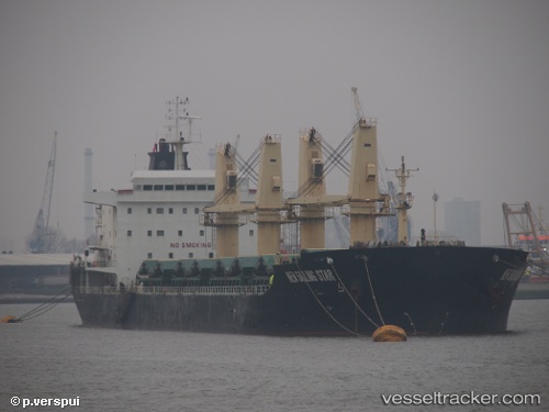 vessel Tan Binh 239 IMO: 9580493, Bulk Carrier
