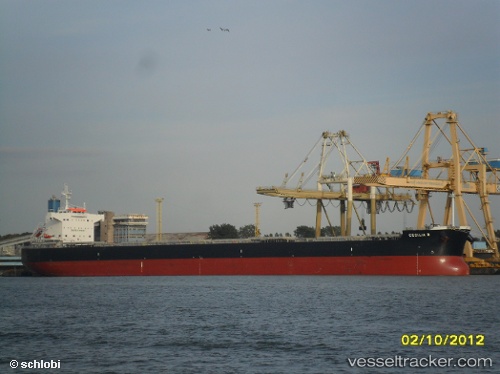 vessel BULL IMO: 9582489, Bulk Carrier